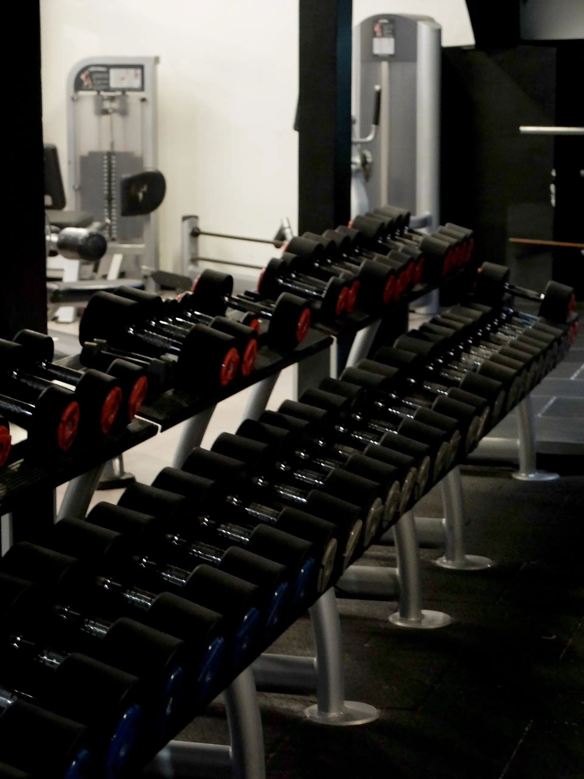 Plateau de musculation - Espace de musculation avec poids libres
